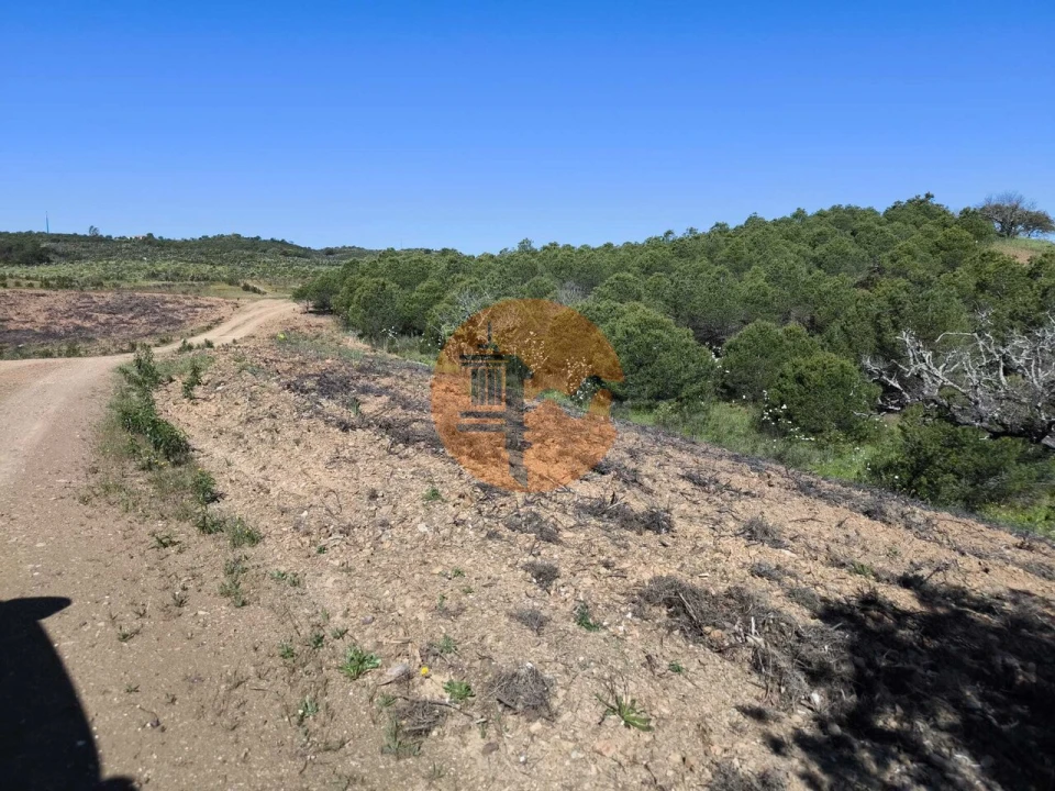 Terreno para Venda em Azinhal Foto 35