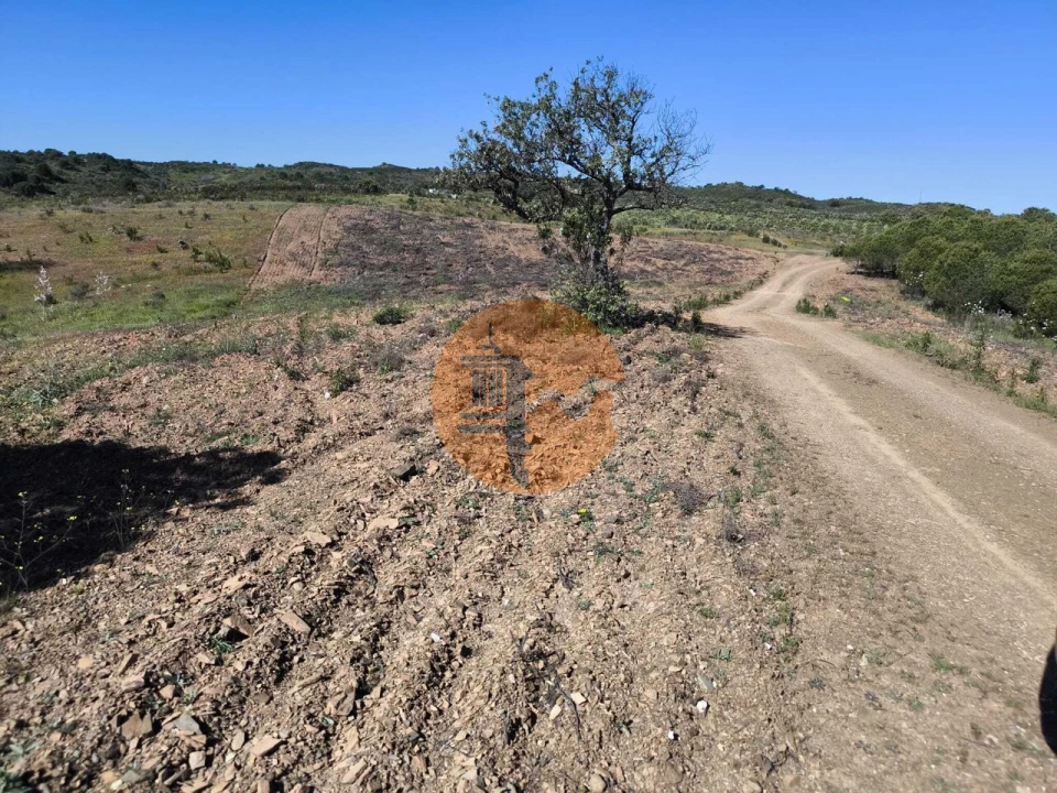 Terreno para Venda em Azinhal Foto 37