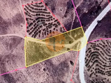 Terreno para Venda em Azinhal