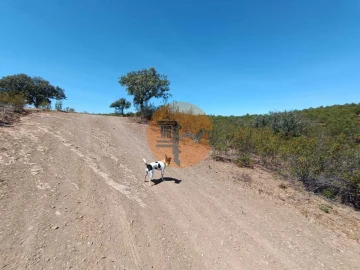 Terreno para Venda em Azinhal