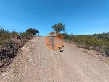 Terreno para Venda em Azinhal