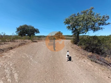 Terreno para Venda em Azinhal