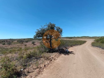 Terreno para Venda em Azinhal