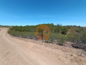 Terreno para Venda em Azinhal