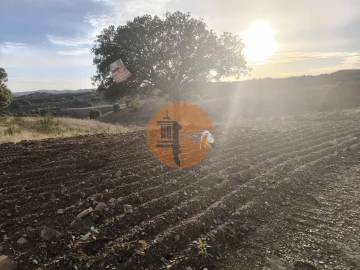 Terreno para Venda em Azinhal