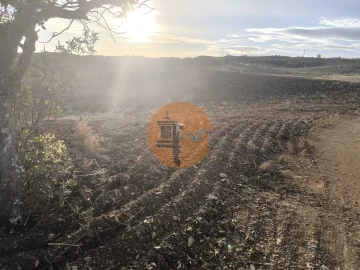 Terreno para Venda em Azinhal