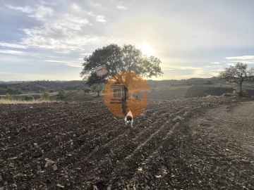 Terreno para Venda em Azinhal