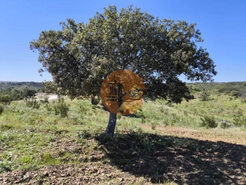 Terreno para Venda em Azinhal