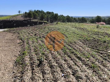 Terreno para Venda em Azinhal