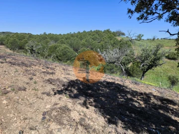 Terreno para Venda em Azinhal