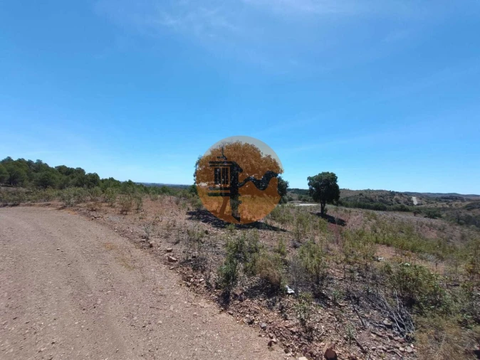 Terreno para Venda em Azinhal Foto 6