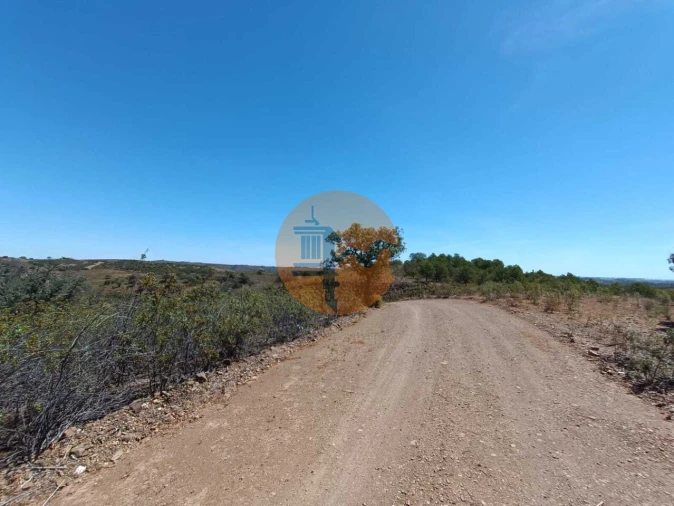 Terreno para Venda em Azinhal Foto 16