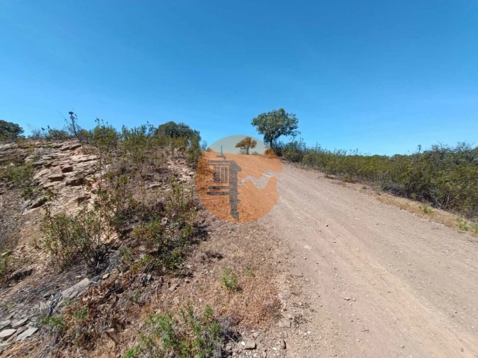 Terreno para Venda em Azinhal Foto 18