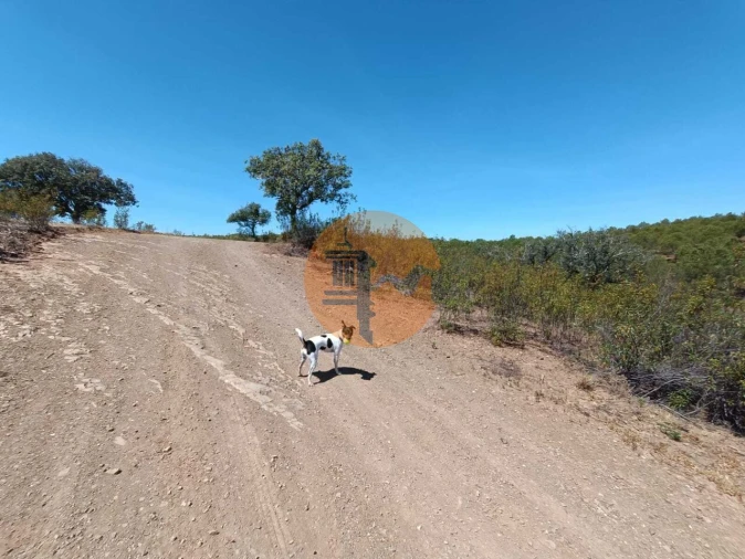 Terreno para Venda em Azinhal Foto 20