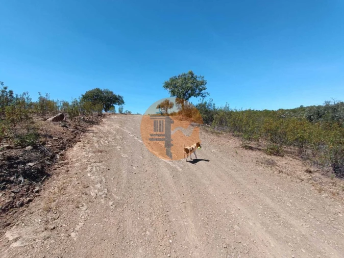 Terreno para Venda em Azinhal Foto 21