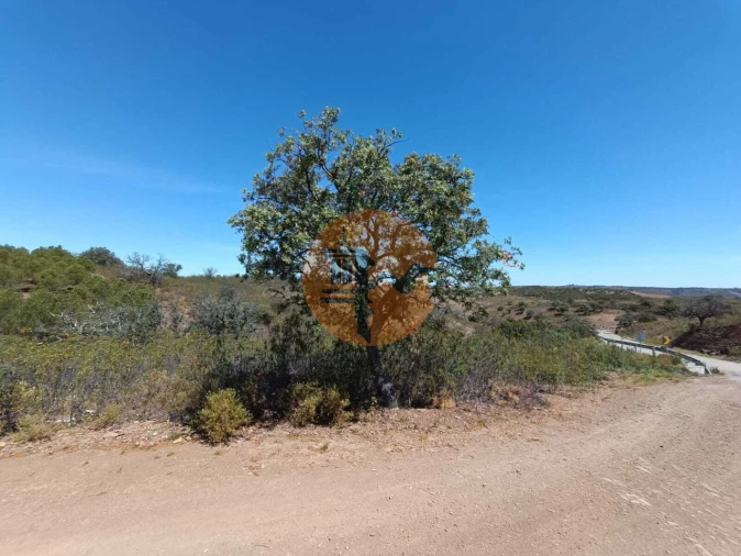 Terreno para Venda em Azinhal Foto 24