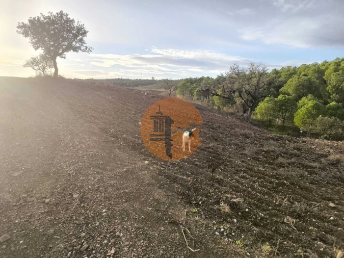 Terreno para Venda em Azinhal Foto 12