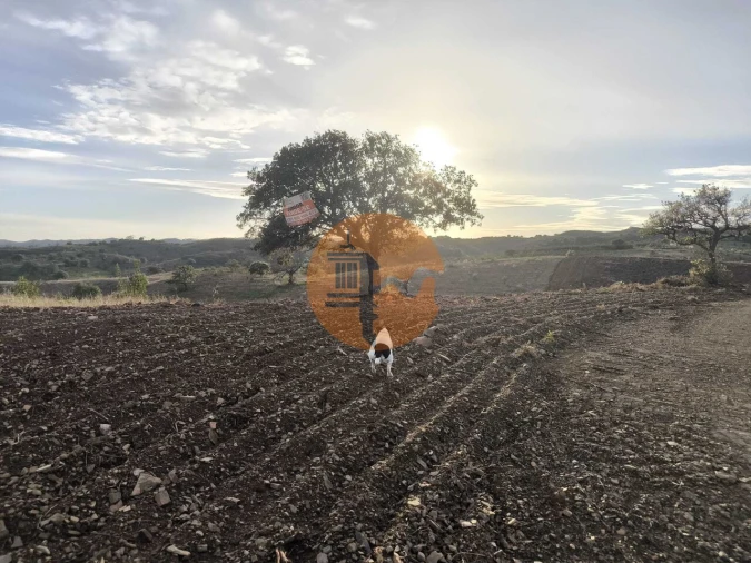 Terreno para Venda em Azinhal Foto 32