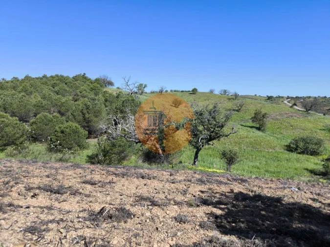 Terreno para Venda em Azinhal Foto 33