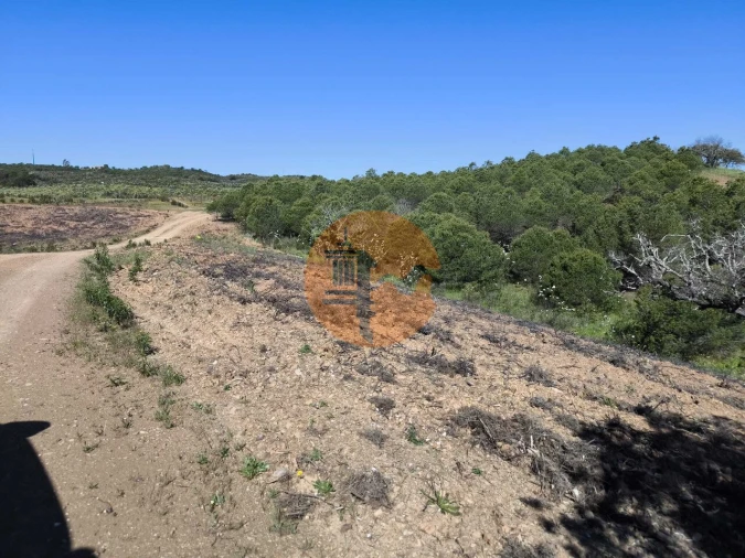 Terreno para Venda em Azinhal Foto 35