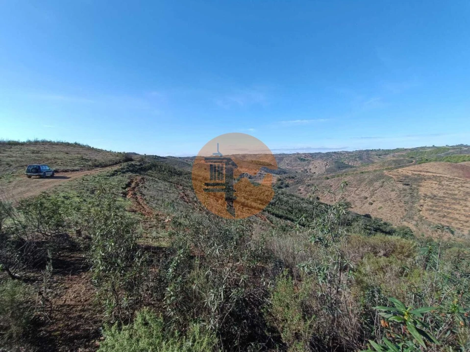 Terreno para Venda em Azinhal Foto 3