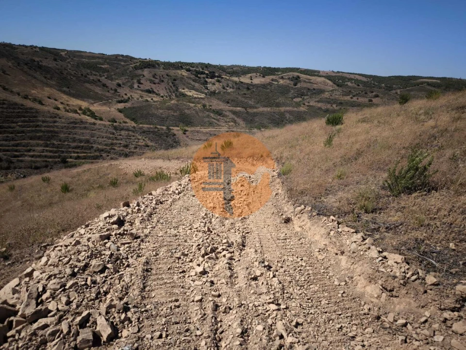 Terreno para Venda em Azinhal Foto 17