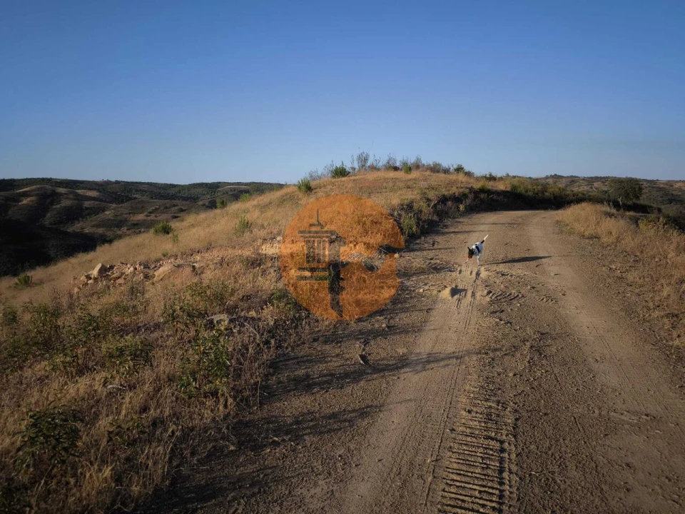 Terreno para Venda em Azinhal Foto 19