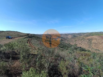 Terreno para Venda em Azinhal