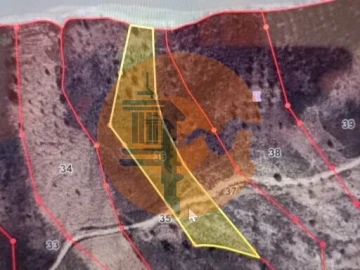 Terreno para Venda em Azinhal