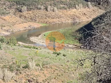 Terreno para Venda em Azinhal