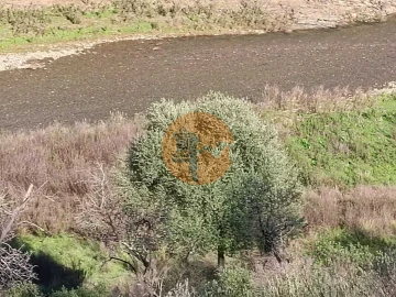 Terreno para Venda em Azinhal