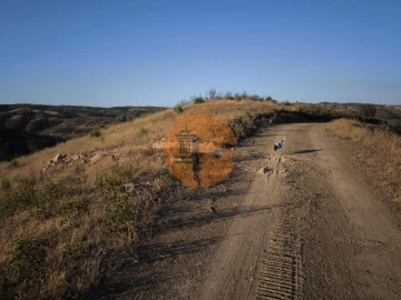 Terreno para Venda em Azinhal