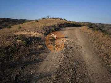 Terreno para Venda em Azinhal