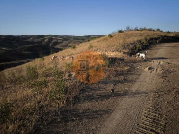 Terreno para Venda em Azinhal
