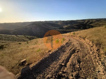 Terreno para Venda em Azinhal