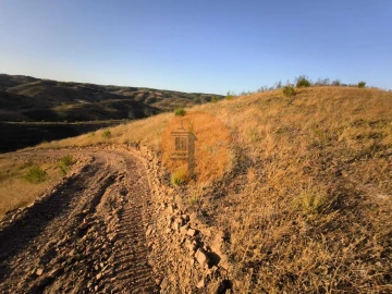 Terreno para Venda em Azinhal