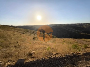 Terreno para Venda em Azinhal