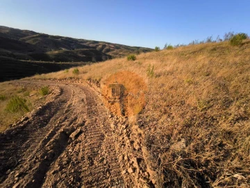 Terreno para Venda em Azinhal