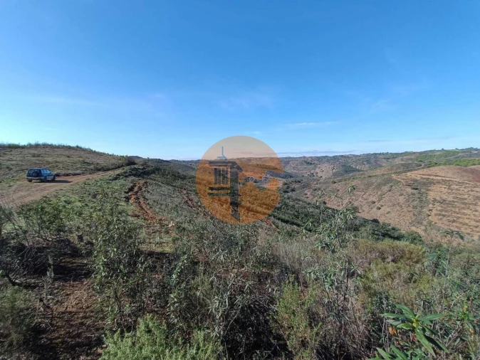 Terreno para Venda em Azinhal Foto 3