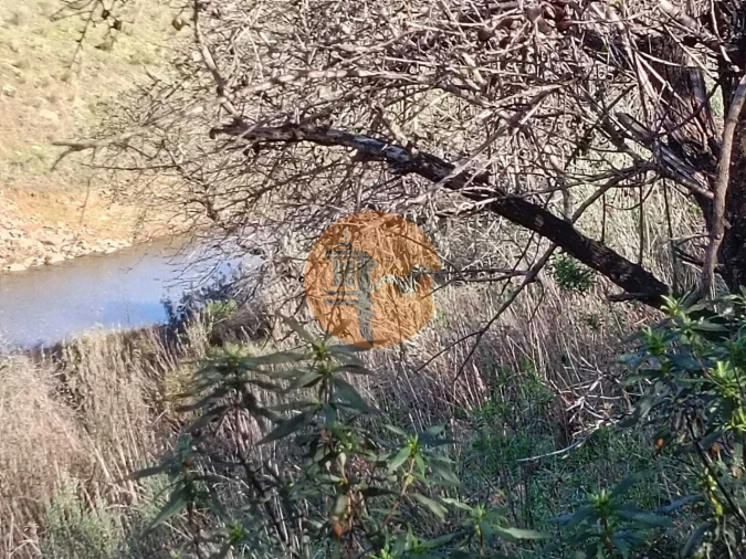 Terreno para Venda em Azinhal Foto 4