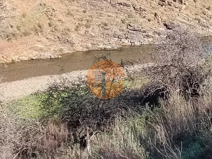 Terreno para Venda em Azinhal Foto 5