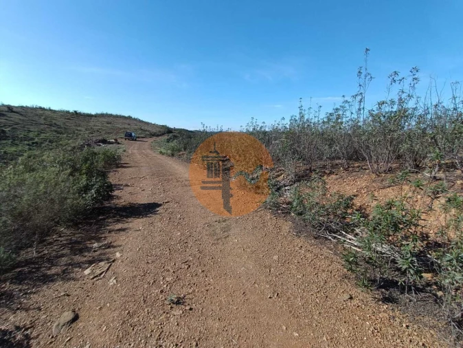 Terreno para Venda em Azinhal Foto 8