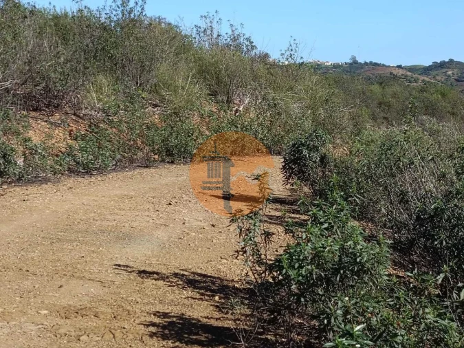 Terreno para Venda em Azinhal Foto 11