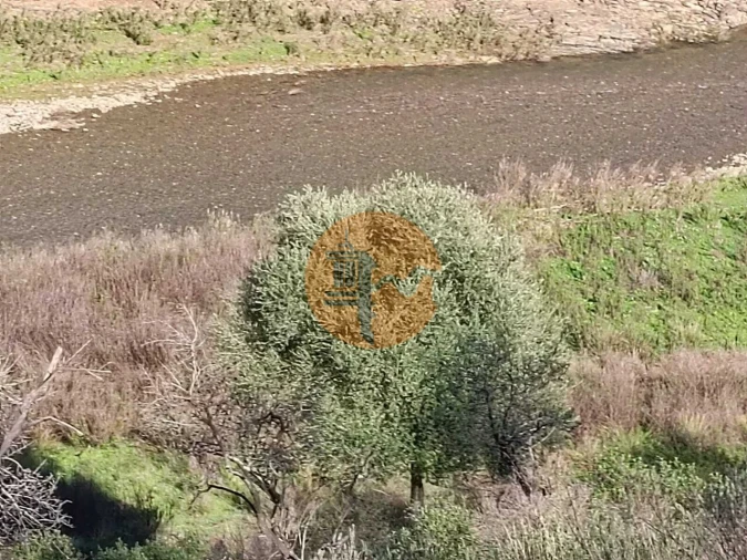 Terreno para Venda em Azinhal Foto 12
