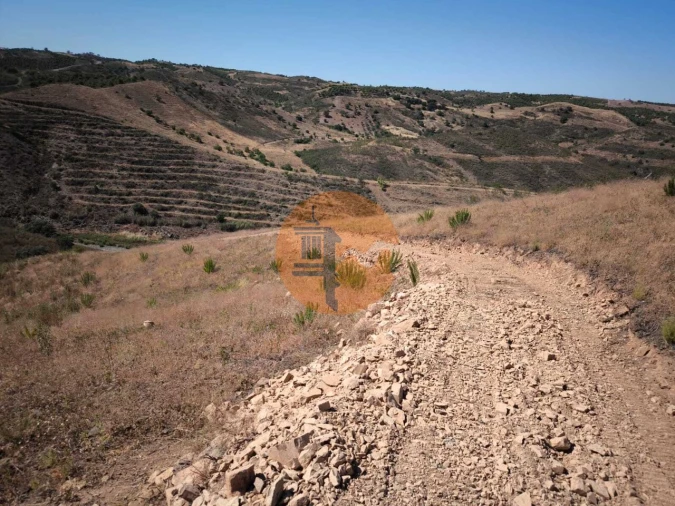 Terreno para Venda em Azinhal Foto 16