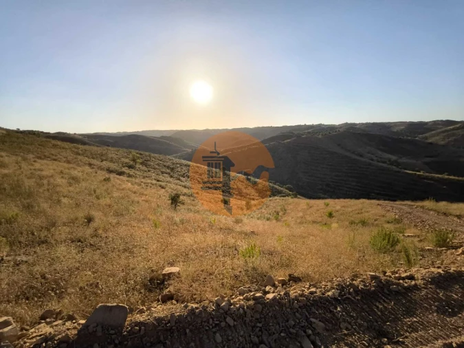 Terreno para Venda em Azinhal Foto 26