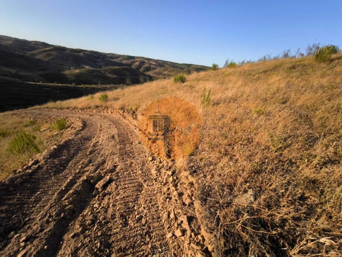 Terreno para Venda em Azinhal Foto 27