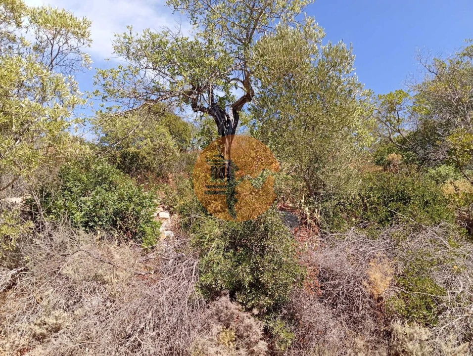 Terreno para Venda em Santa Catarina da Fonte do Bispo Foto 2