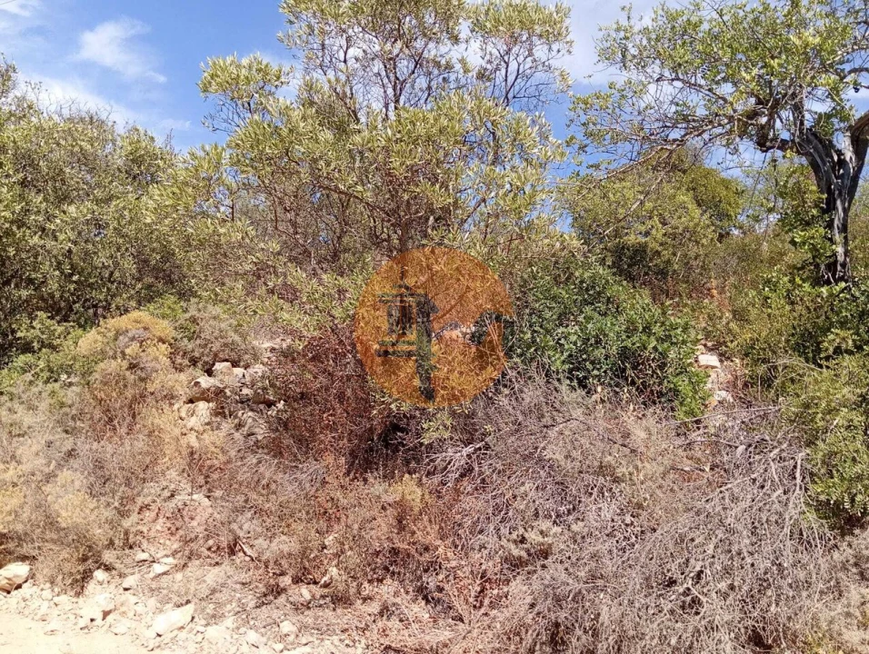 Terreno para Venda em Santa Catarina da Fonte do Bispo Foto 3