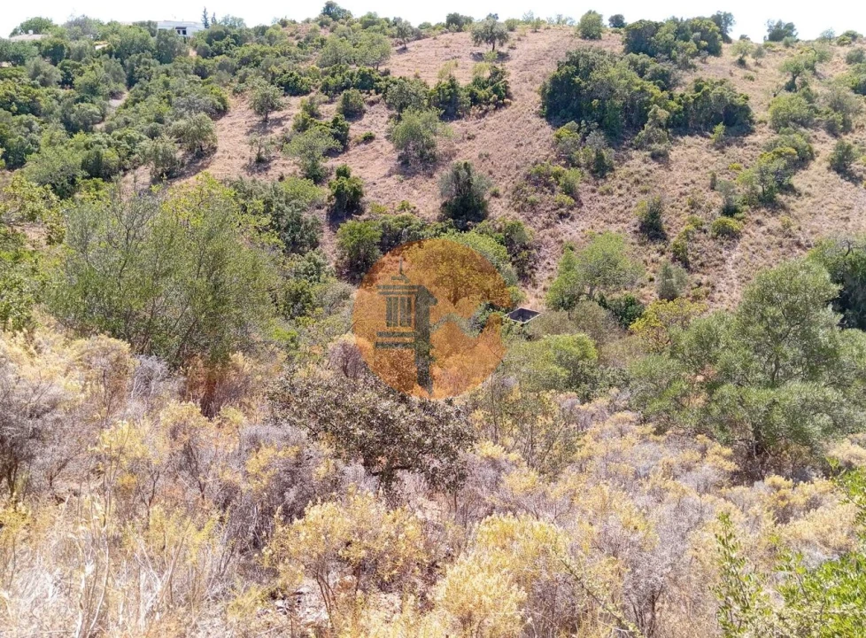 Terreno para Venda em Santa Catarina da Fonte do Bispo Foto 6
